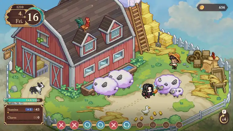 Working at the ranch with sheep and the barn
